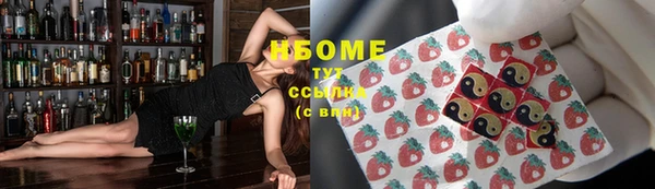 хмурый Аркадак