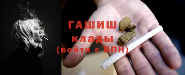 хмурый Аркадак