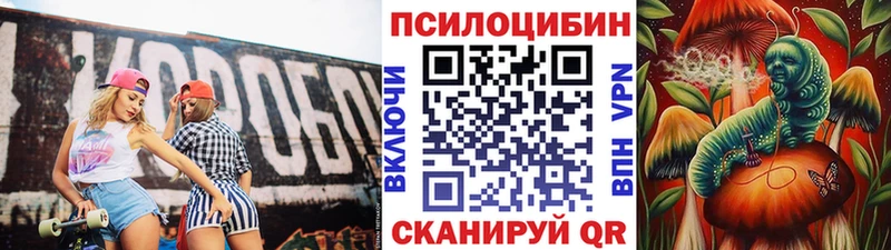 Псилоцибиновые грибы Cubensis Могоча